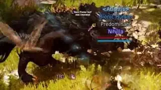 Black Desert Online - Фарминг древесных духов-мутантов [Укротитель]