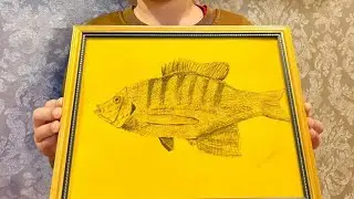 How Do I Learn Drawing & Schetching Myself 