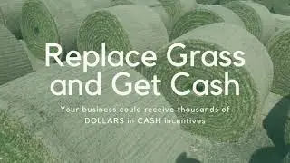 Businesses can save cash giving up grass