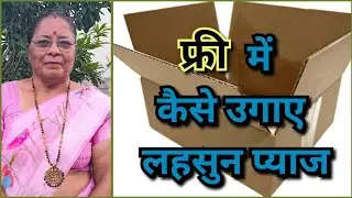 फ्री में लहसुन प्याज़ उगाने का सीक्रेट तरीका 🌱 सही मिट्टी की पूरी जानकारी