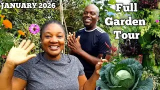 Full Garden Tour For January 2026/Growing All Our Vegetables Fruits Herbs And Spices In Containers 
