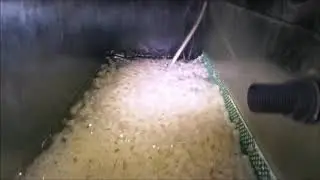 2600 litres Tanganyika filtration 5 ans  Mars 2019