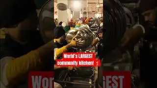 100K meals EVERYDAY?! The Golden Temple&rsquo;s MASSIVE Impact! #peace #kindness #goldentemple