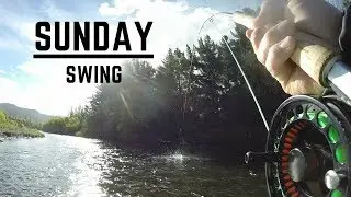 Trout swinging On the Tongariro river New Zealand