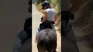 Relaxing horse walking sound.