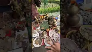 Minshas coin collection #old #coin #collection #shorts