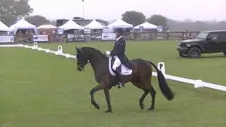 Will Coleman & Chin Tonic HS CCI 2L Dressage 1st place