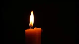 Community Vigil for Collective Pain