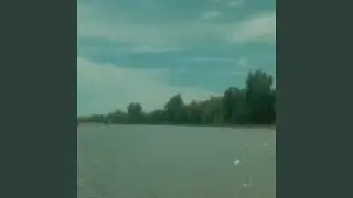 smooth tooth
