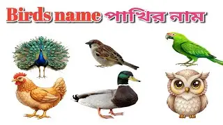 ২০টি পাখির নাম | ছবি সহ পাখির পরিচয় | Bangla Bird Names