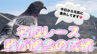 今日は、２月１８日です😘😘😘😘昨日行われました名取レースの我が鳩舎の成績発表しちゃいまーす🥰🥰🥰