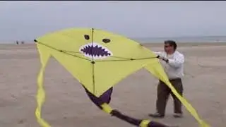 05 Single Lined Kites