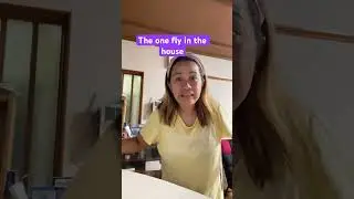 The one fly in the house #shortvideo #funny #comedy  #viralvideos  #fypシ゚viral  #everyone  #shorts