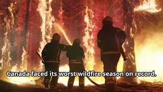 Canada's Wildfire Crisis: Climate Change's Fiery Toll
