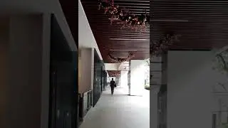 Singapore's Bras Basah and Bencoolen MRT Stations (5.5 Million Views)