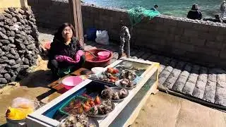 Jeju Azuma selling Ablone