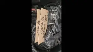 The original cardboard RAM Tiktok viral video