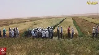 قناة 