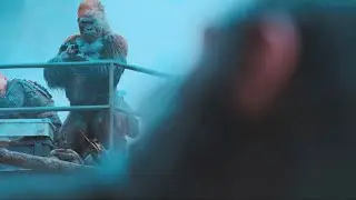 Caesar was saved by a monkey | War For The Planet Of The Apes | Clip 4K