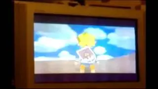 Zelda 206