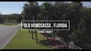 Old Homosassa and Nature Coast Drones llc .