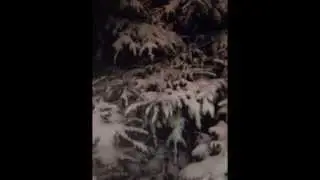 General Slideshow