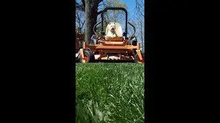 Chesterfield VA Lawn Care Fertilization | PPLM | (804) 530-2540