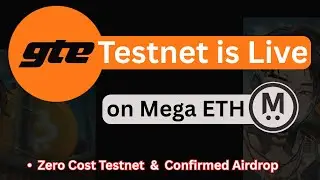 GTE Testnet Guide