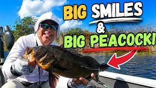 The Easiest Way to Catch BIG Everglades Peacock Bass!