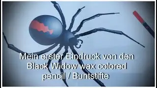 Mein erster Eindruck von den Black Widow wax colored pencil / Buntstifte