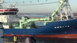 2024年　銚子漁港「漕出式」