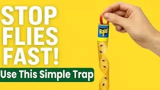 Как использовать ленту Raid Fly Ribbon | Пошаговое руководство по быстрой ловле мух! 🪰🪤