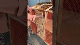 Installing the door to the two-story chicken coop #chickencoop #woodworking #pet