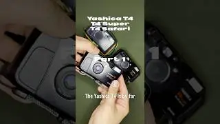 Yashica T4 and T4 Super Day 12 Part 1