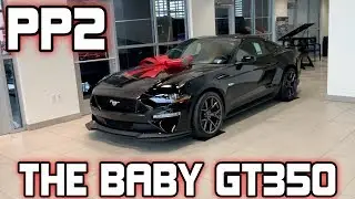 BABY GT350?- 2019 Mustang GT Performance Package Level 2 Walkaround (PP2)