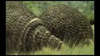 TRILOGY OF LIFE - Walking with Beasts - 