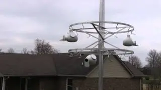 Purple Martin Boxes