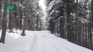 Kalam Swat Snowfall 2019
