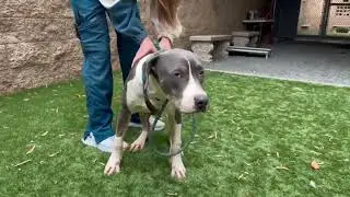 Jonah A520247 - URGENT- Deadline Dec 6th