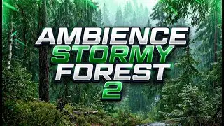 Ambient Video Game Music D&D &ndash; Stormy Forest Ambience 2 - Track 3 Preview