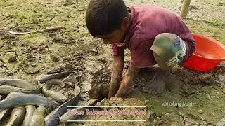 Amazing Easy Fishing Video Dry Season Underground Monster Catching By Hand 2022