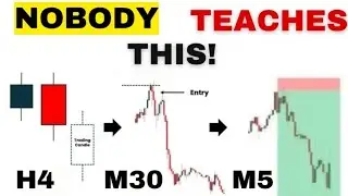 You Need Just 1 Daily, H4 or H1 Candle to Make Money in Forex Trading!🔥🥰