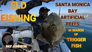 ELD FISHING  (ARTIFICIAL REEFS IN SANTA MONICA BAY) TRIGGER FISH