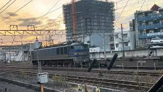 EF510-505&コキ3両