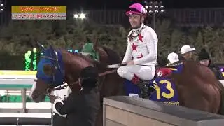 東京大賞典　注目馬特集（ミッキーファイト）