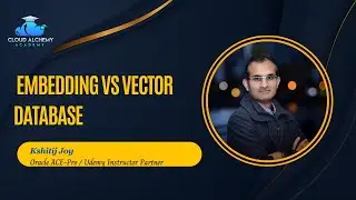 Embedding Vs Vector Database