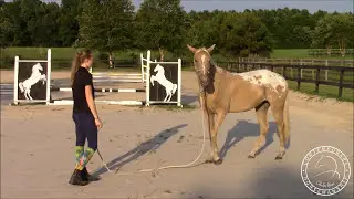 Backing Up - Rhythmic Pressure