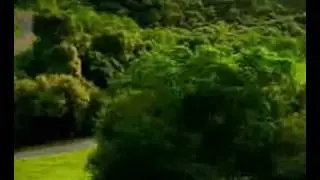 german car ad, with ghost!