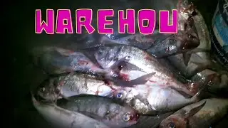 WAREHOU