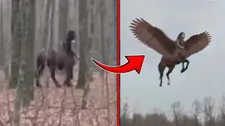 ¡Criaturas míticas reales capturadas vivas en vídeo! ¡Imágenes que no deberían existir!